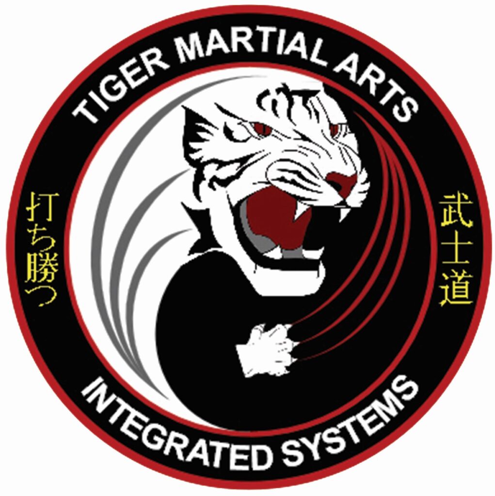 Image of Comprehensive Martial Arts Training Programs
